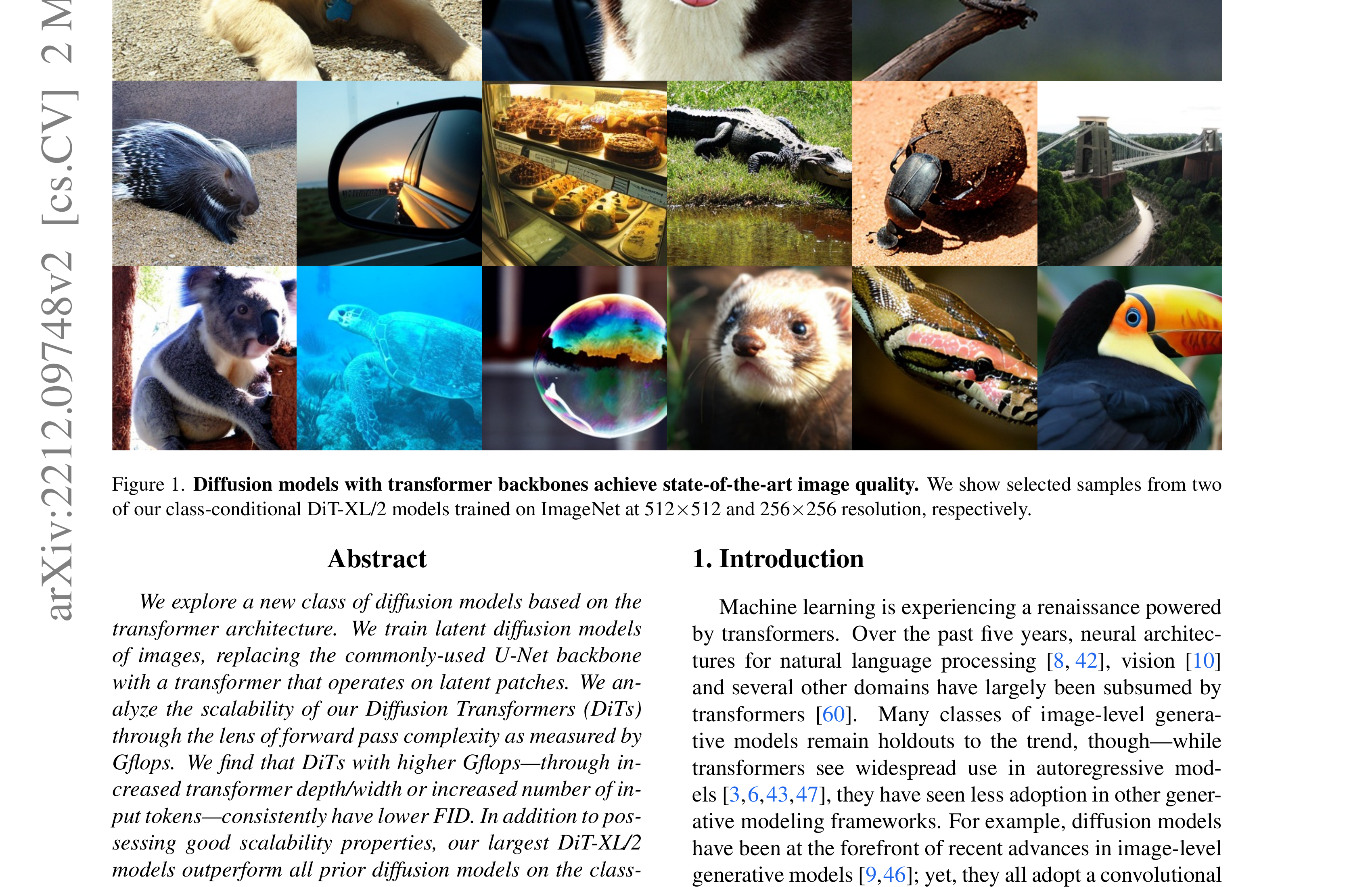 Figure 1: DiT samples