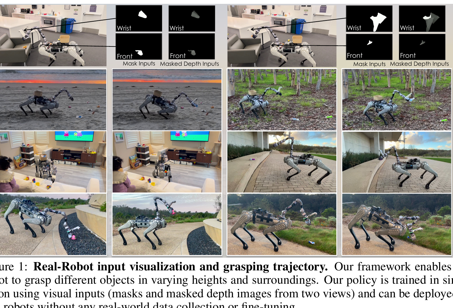Figure 1: Real-Robot input visualization and grasping trajectory