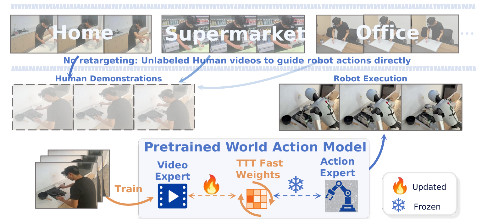 Figure 1: Overview of WAM-TTT